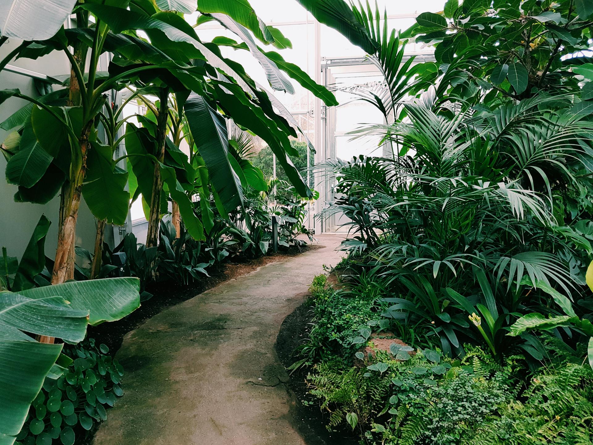 The secret life of a well-landscaped garden